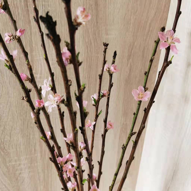 树枝桃木枝插花瓶驱邪居家装饰晦气男女九紫离火干花