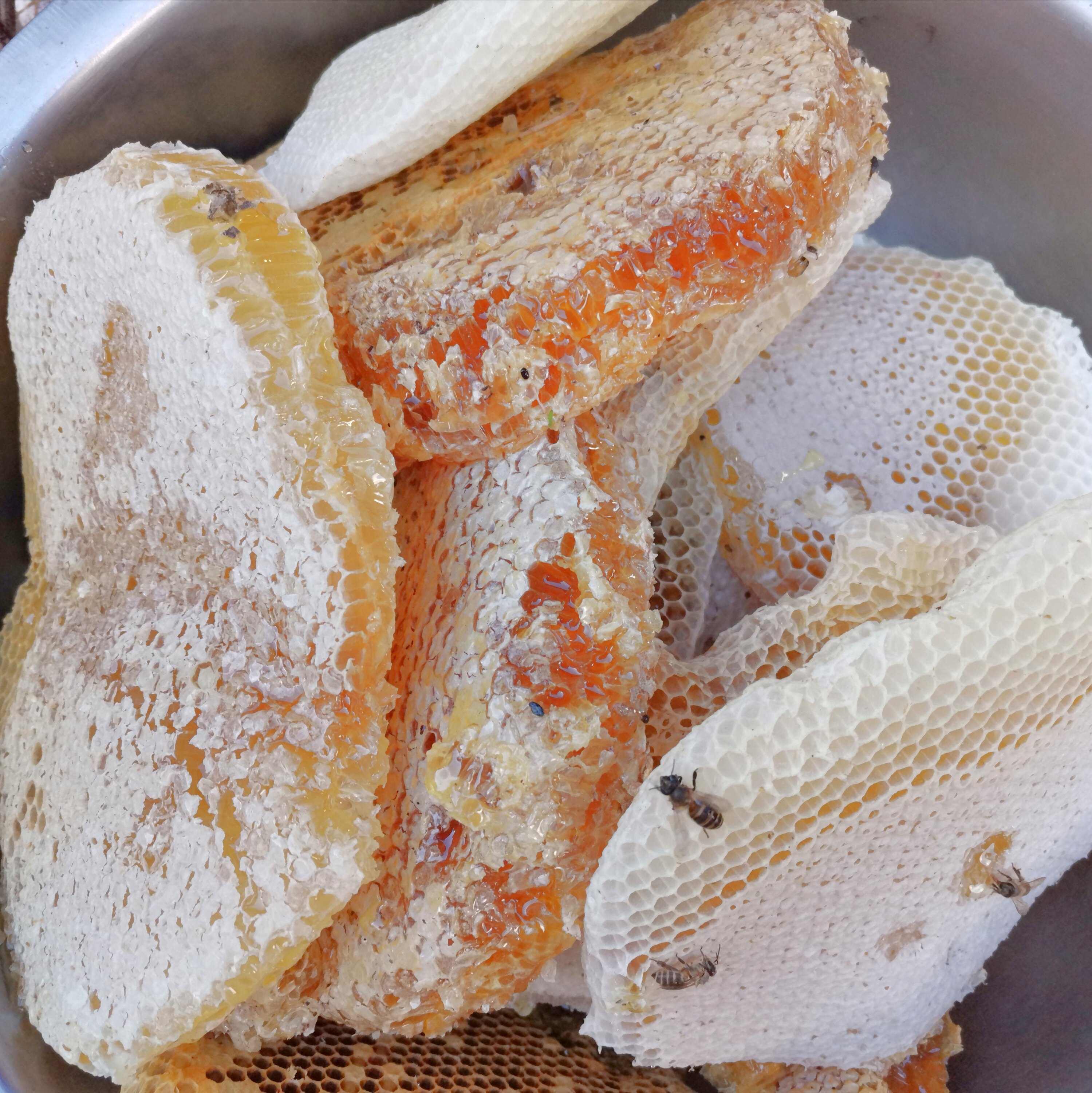 花都云南滇西高原野生百花土蜂蜜6月新货美容养胃孕妇儿童可吃1kg
