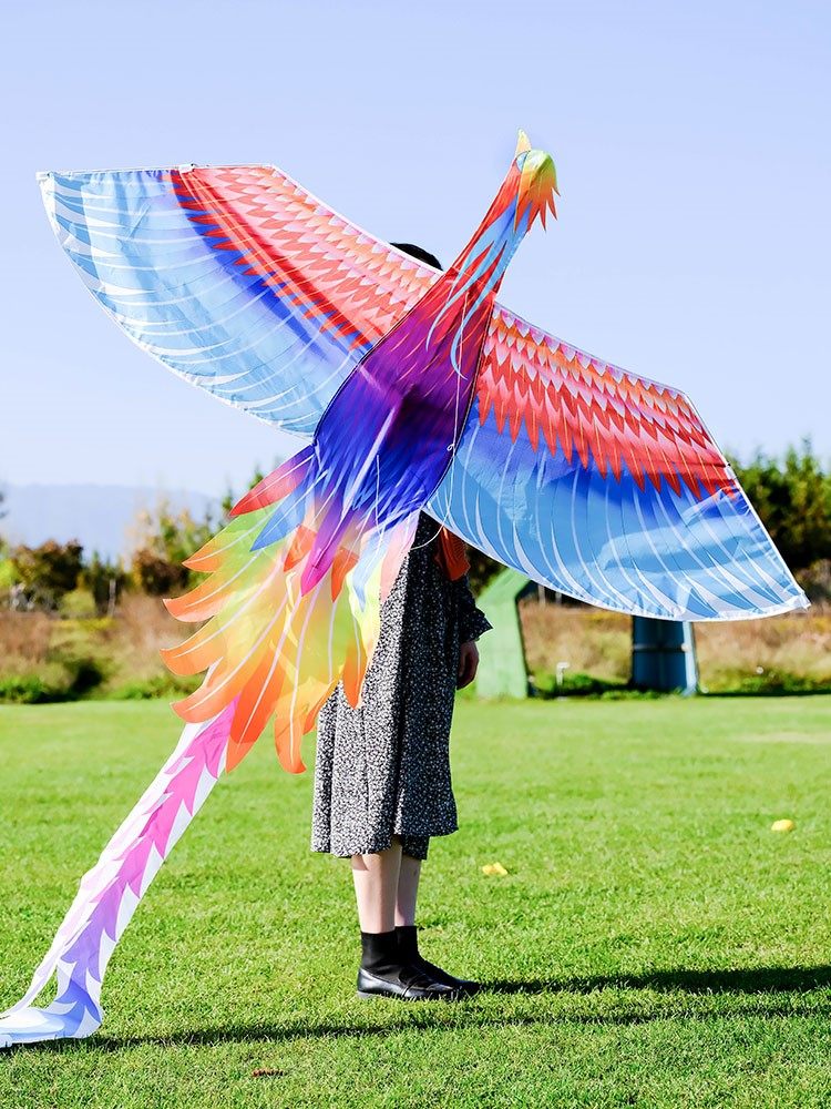 风筝新款凤凰成人大型个性七彩七彩风儿童微风风筝