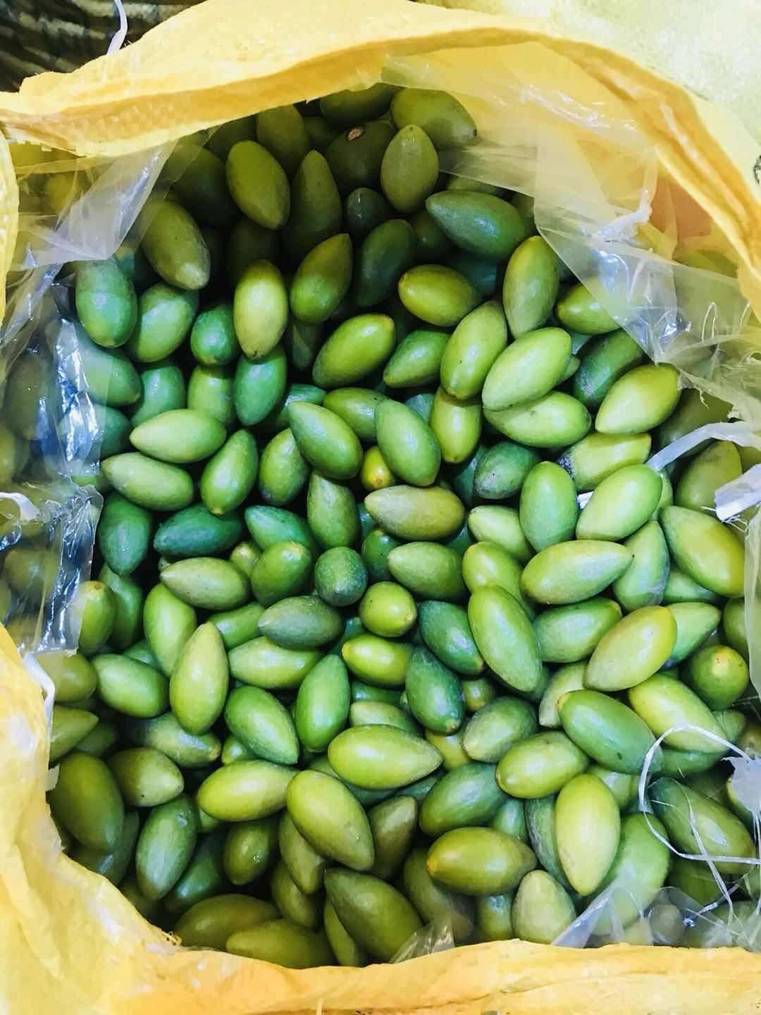 新鲜特级甜种橄榄潮汕现摘生吃甘甜无渣孕妇其它