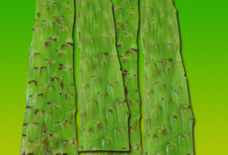 浙江温州泰顺特产第一店苦马皮苦马农家蔬菜其它