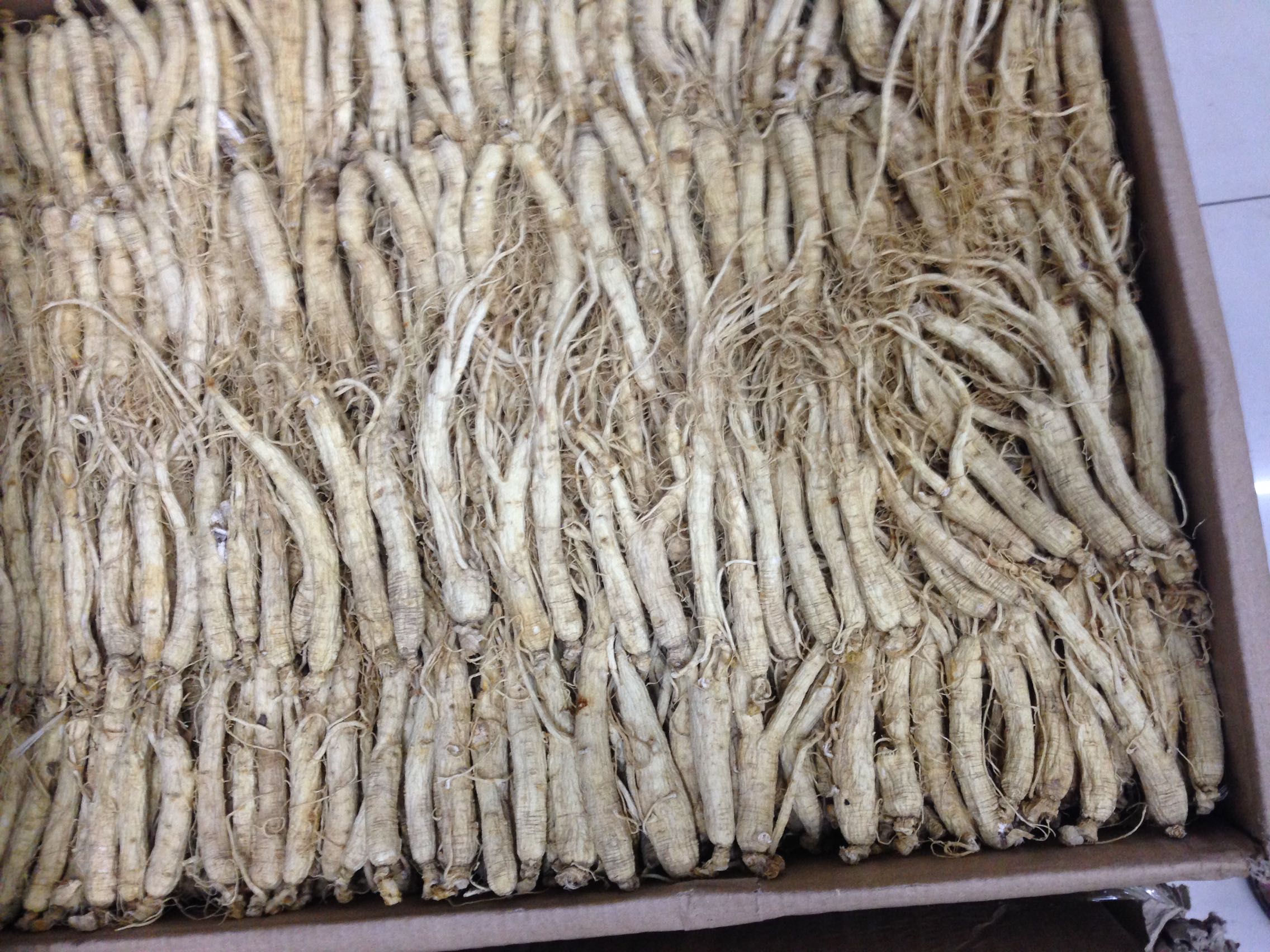 长白山人参生晒参泡酒东北特产小白参 园参吉林白参500g