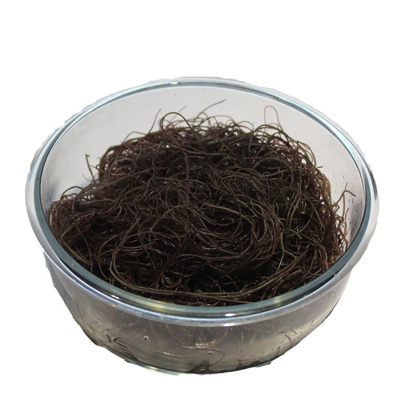 龙须菜海发发菜干货250克海菜海藻海草凉拌火锅海带