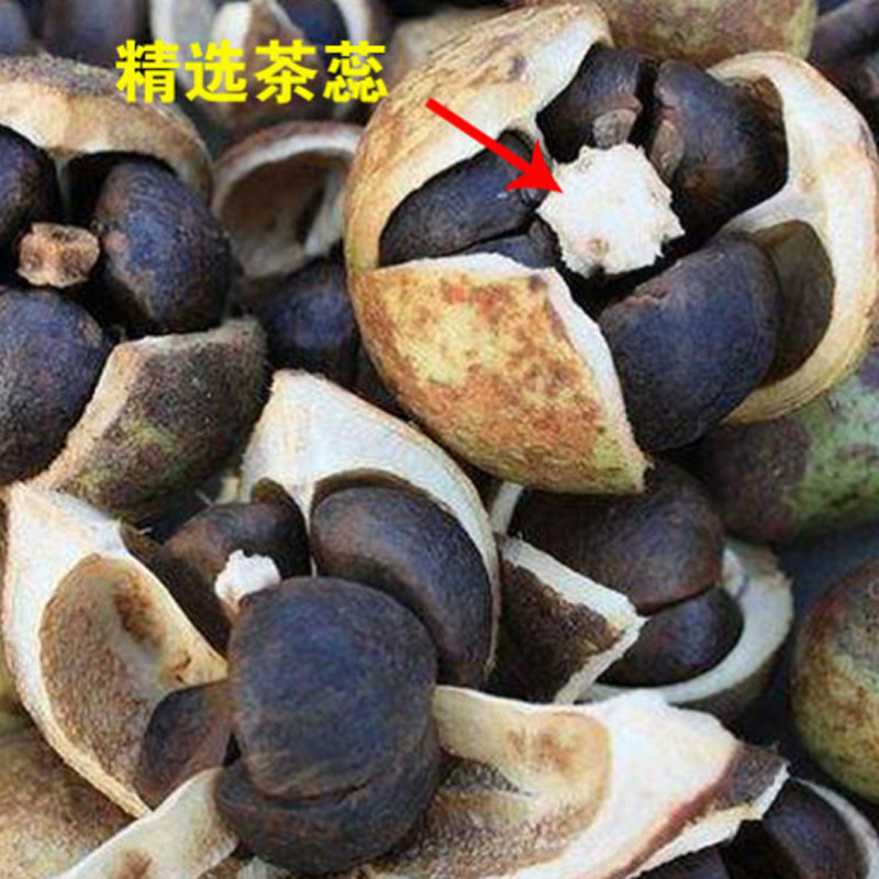 广西农家泡水茶籽芯老茶果手工茶精精选果茶特色产区红茶