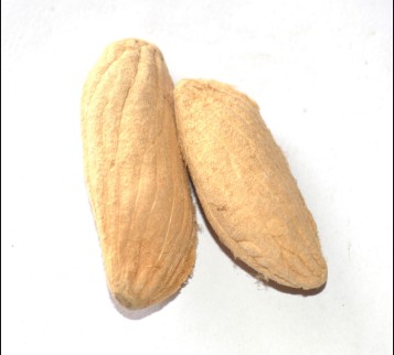 北京同仁堂中药材芒果果核50克不可打粉无硫满包邮其他药食同源食品