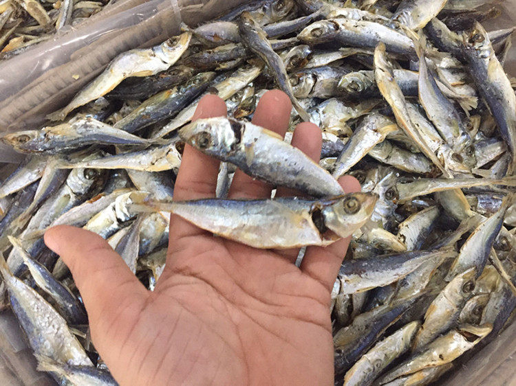 包邮 巴浪鱼干咸鱼干野生波浪鱼干250克海产干货 购买2份送虫草花