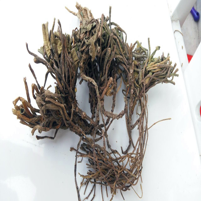 微山湖野生菱角蒂 菱角根茎 搭配四角菱角壳 新鲜干货