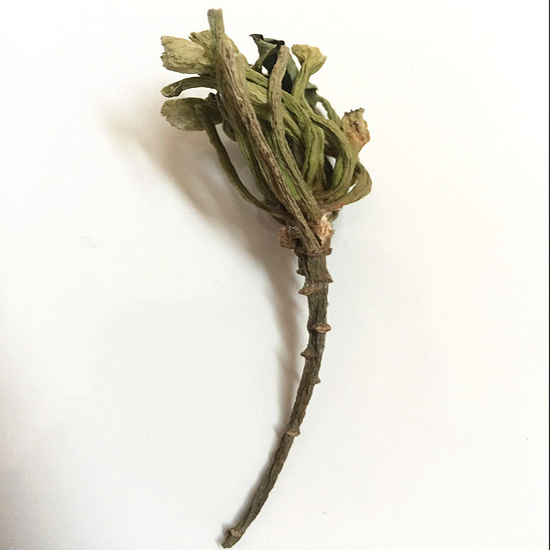 蔡卷卷野生菱角蒂菱角根茎搭配四角菱角壳新鲜干货