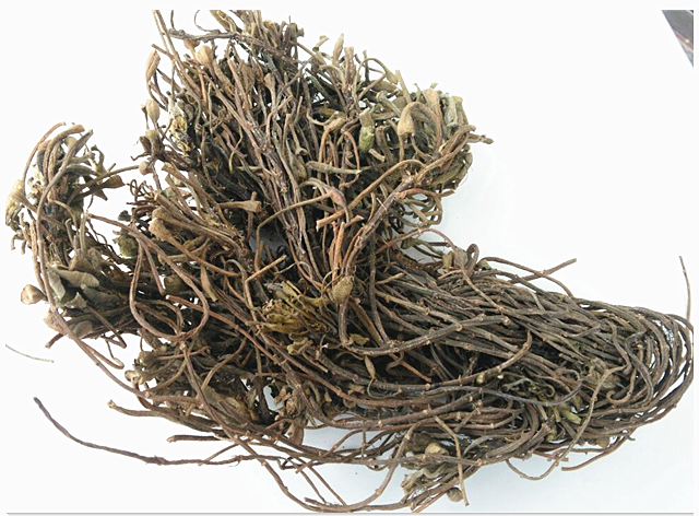 微山湖野生菱角蒂 菱角根茎 搭配四角菱角壳 新鲜干货