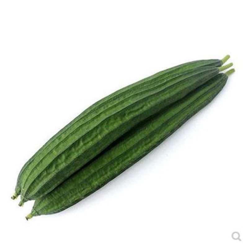 丝瓜高产蔬菜印度八棱种子雅绿大肉花点种籽家庭园艺种子