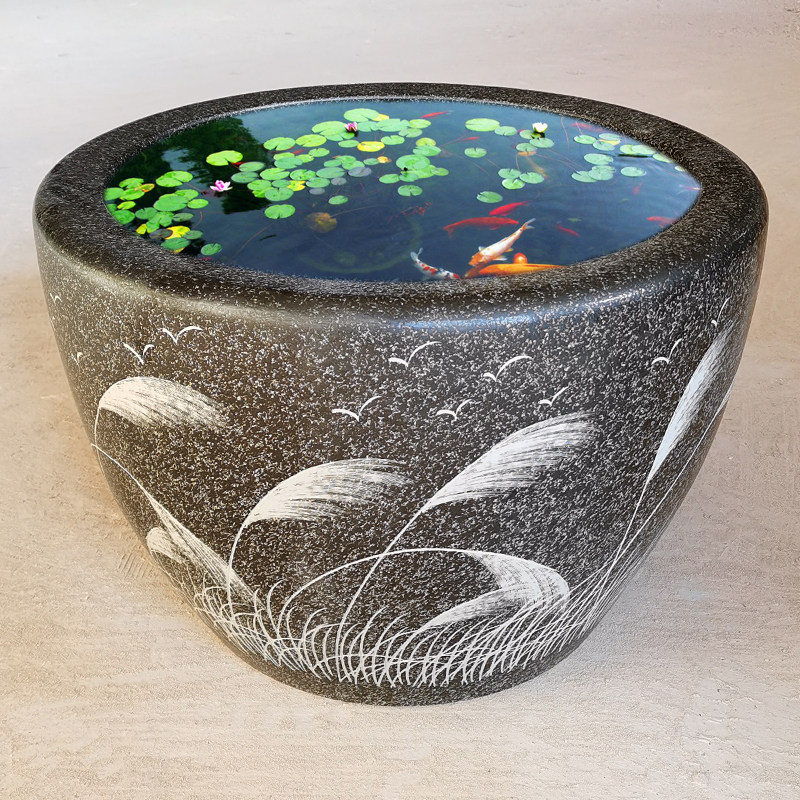 鱼缸养鱼种树庭院荷花睡莲室外大水缸金鱼缸养龟缸桌面缸