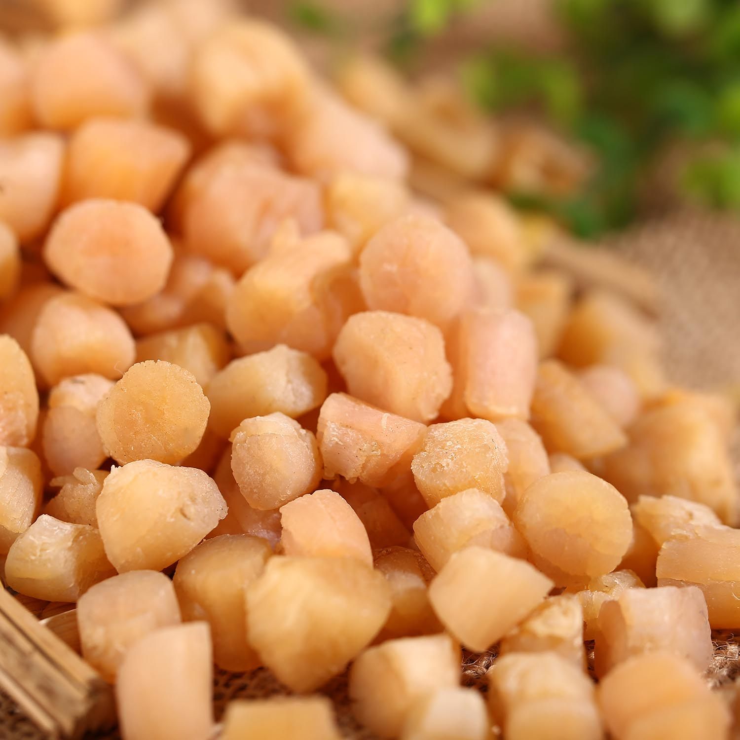 干贝野生特级瑶柱渔家自晒扇贝丁扇贝肉干干货干贝