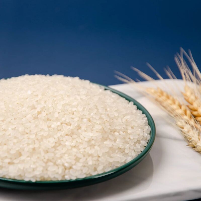 大米正大松花江珍珠米稻花香长粒编织5kg生米大米