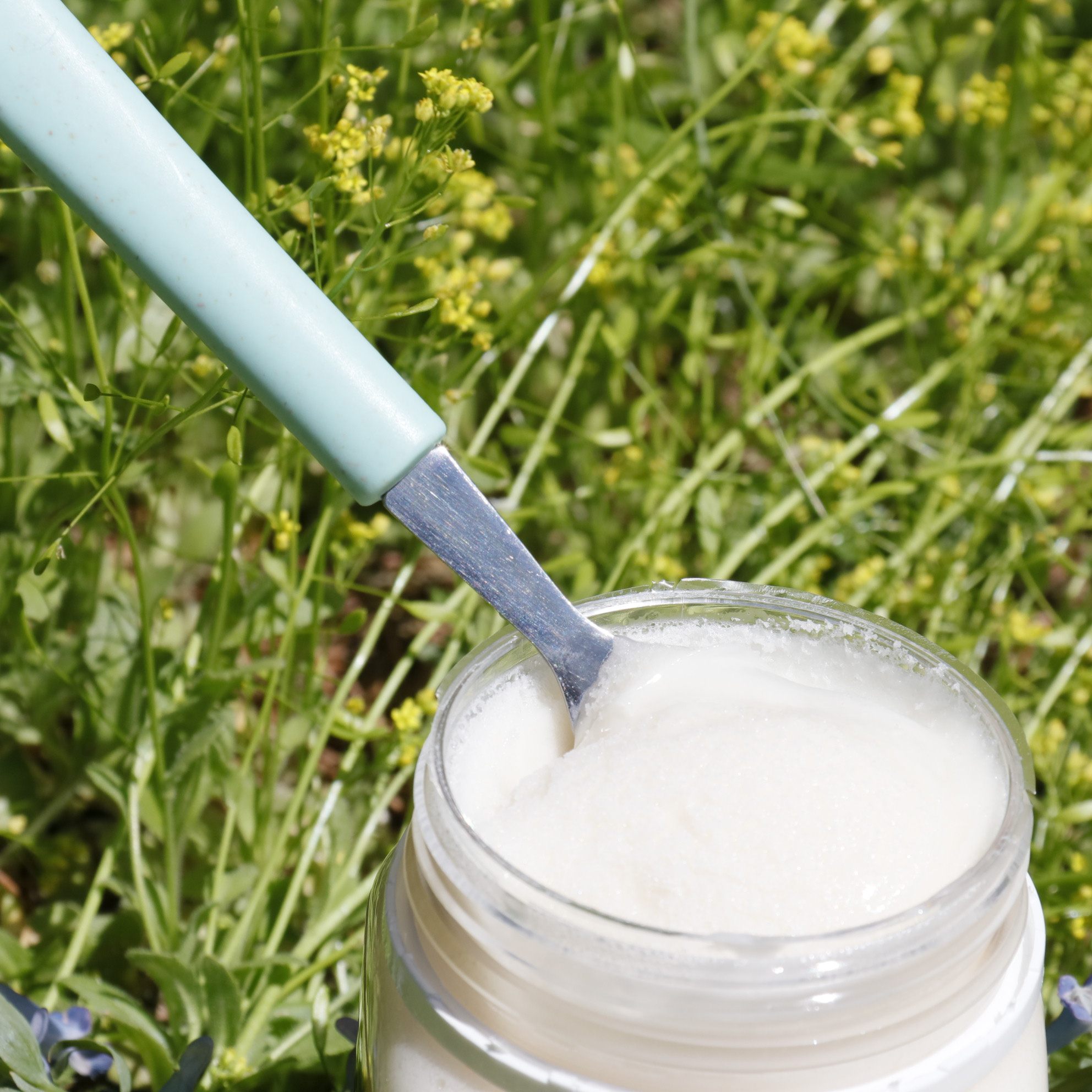 蜂蜜东北特产黑龙江伊春野生椴树雪蜜结晶1斤装蜂蜜