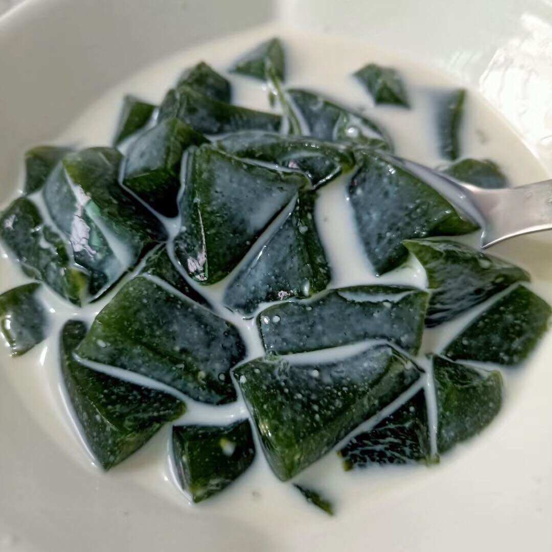 凉粉广东高州2斤新鲜鲜绿色草干仙草龟苓仙人大型绿植