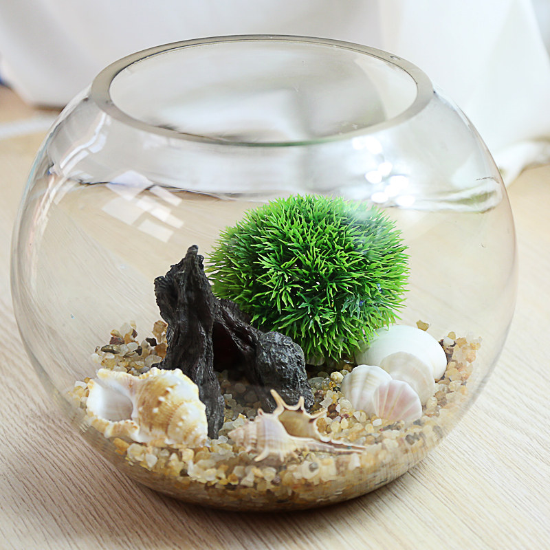 鱼缸圆型花瓶水培造景小型桌面乌龟生态金鱼缸桌面缸