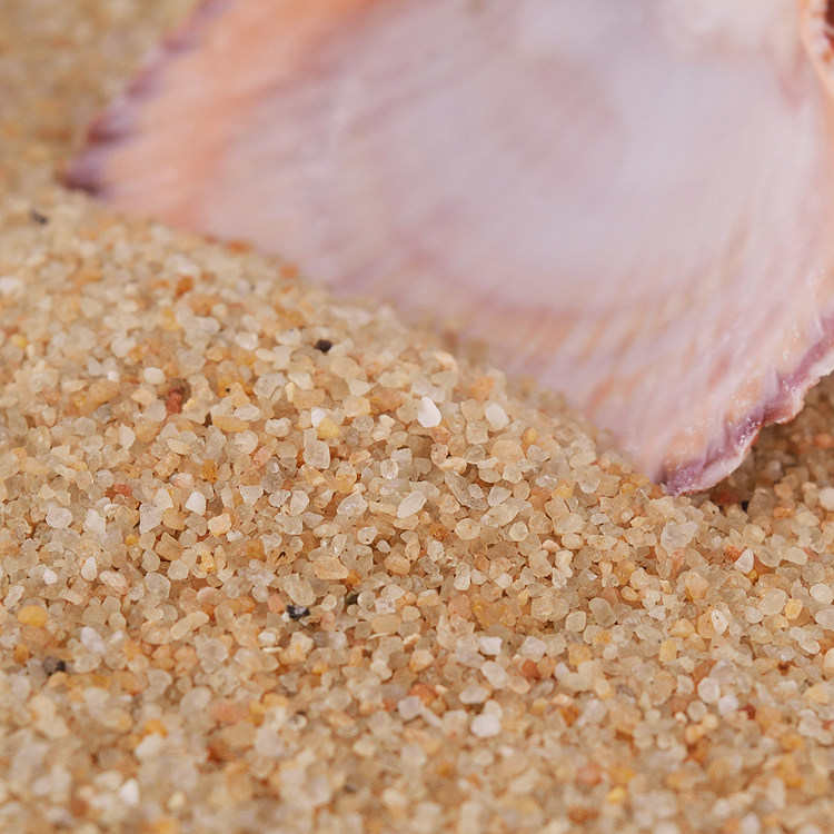 天然粗河沙多肉铺面石拌土细沙子颗粒养花种植花用河砂鱼缸底沙石