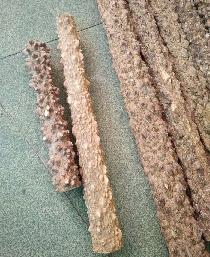 练功大山野生花椒木鸟站按摩棒手把玩穴位老人按摩棒