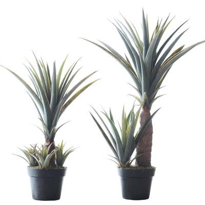 皇冠西西里绿植龙舌剑麻盆栽家居客厅阳台装饰商铺造景仿真植物盆景