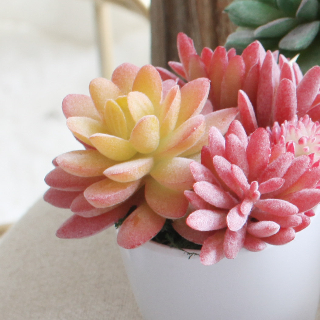 西西里仿真多肉植物宝石莲含花瓶 仿真花绿植仙人掌球家居小摆件