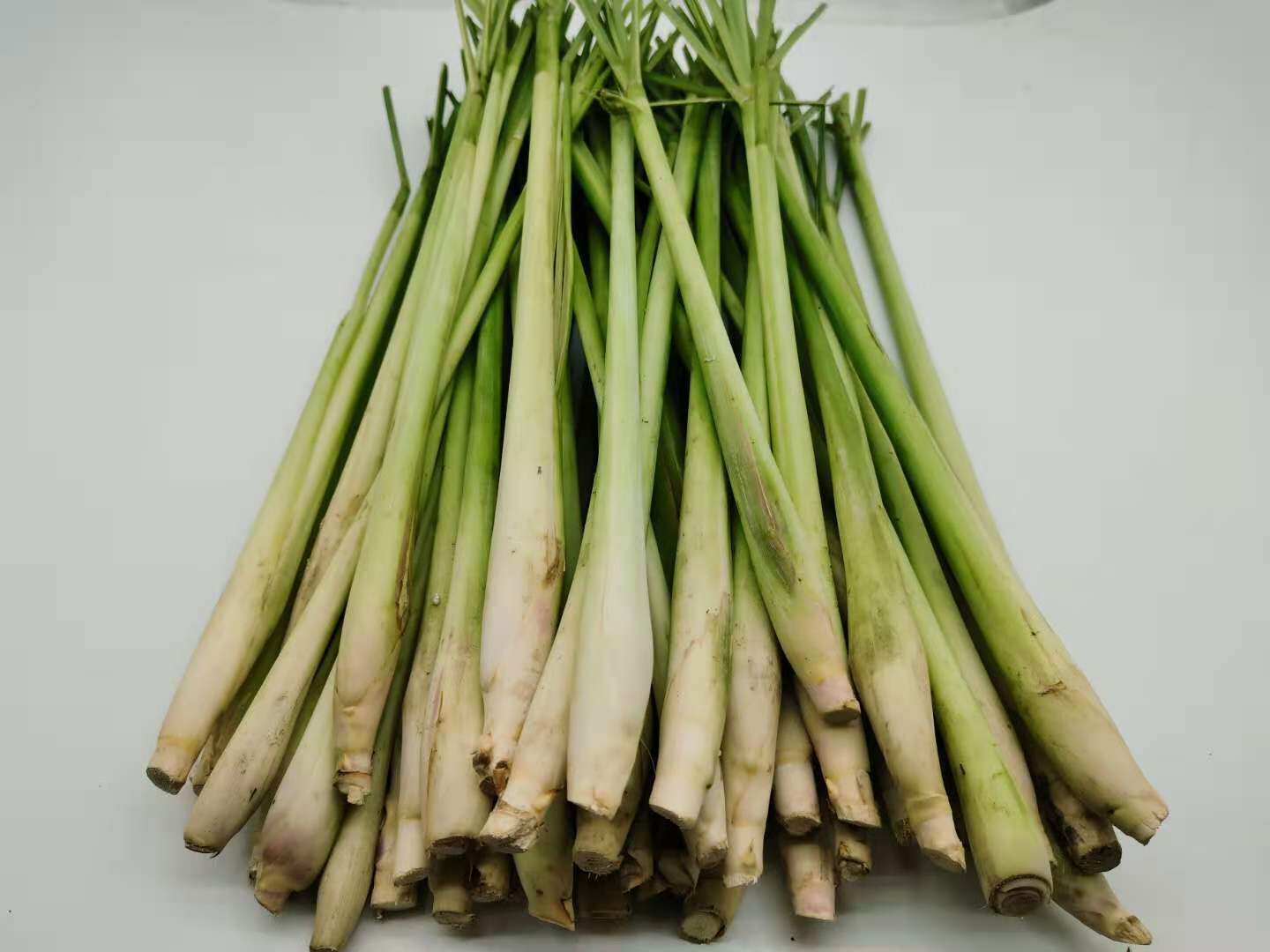 新鲜柠檬香茅草lemongrass烤鱼烤螺泰国冬阴功汤材料蔬菜包邮