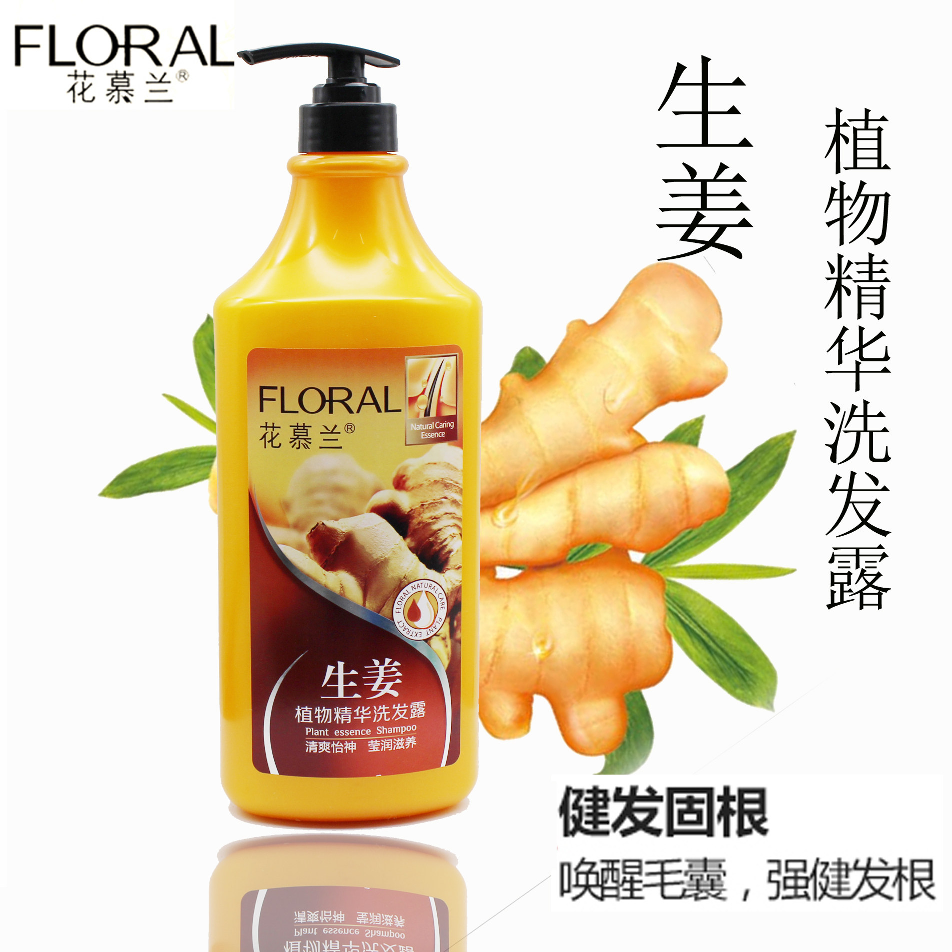 花慕兰植物精油洗发露1kg生姜薄荷乌黑芝麻茶籽洗发水