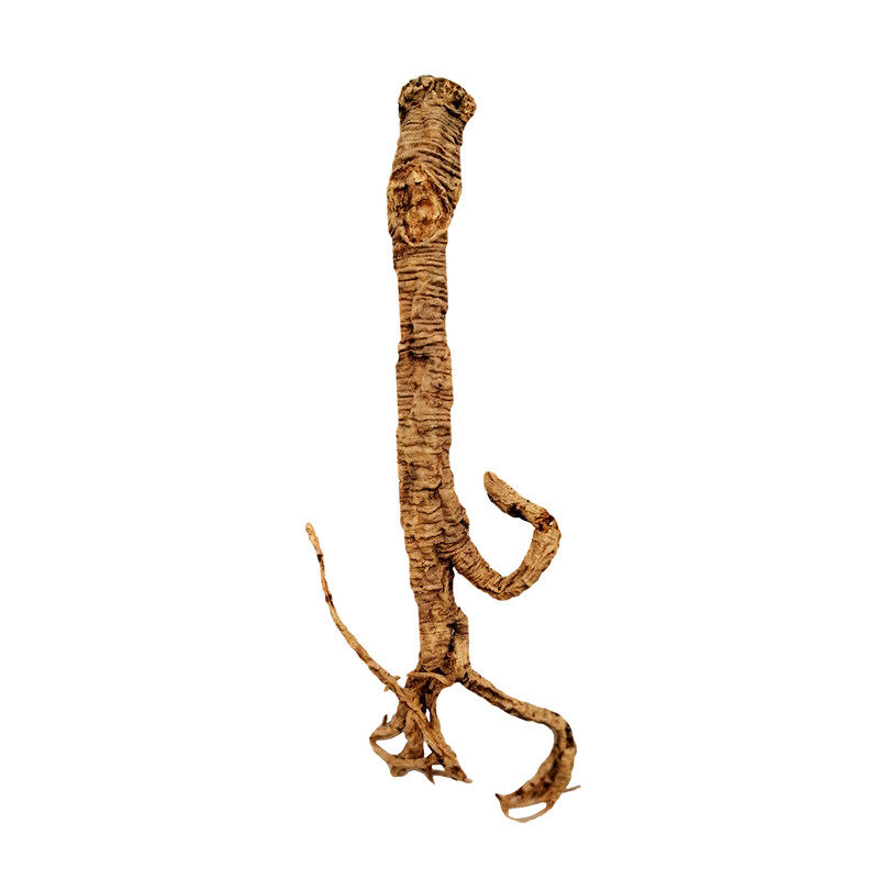 野党参西藏野生原根255克低糖非甘肃黄芪纹路甜党参买3件可发顺丰