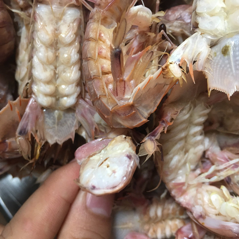 舟山野生琵耙虾海鲜新鲜皮皮虾鲜活虾姑富贵虾500克2斤起拍