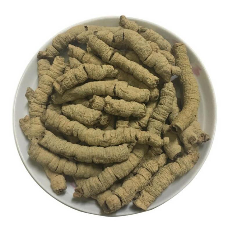 巴戟天茶野生特级500g正品男性煲汤泡酒料粉滋补肉苁蓉锁阳中药材