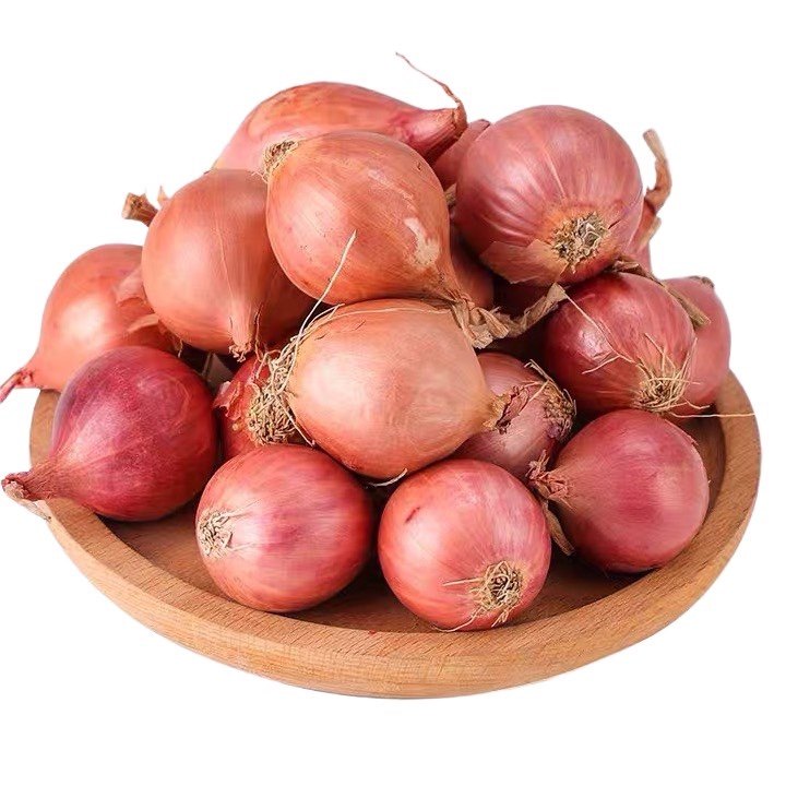 5斤正宗农家朱葱毛小洋葱红皮种子干葱圆新鲜现货葱类