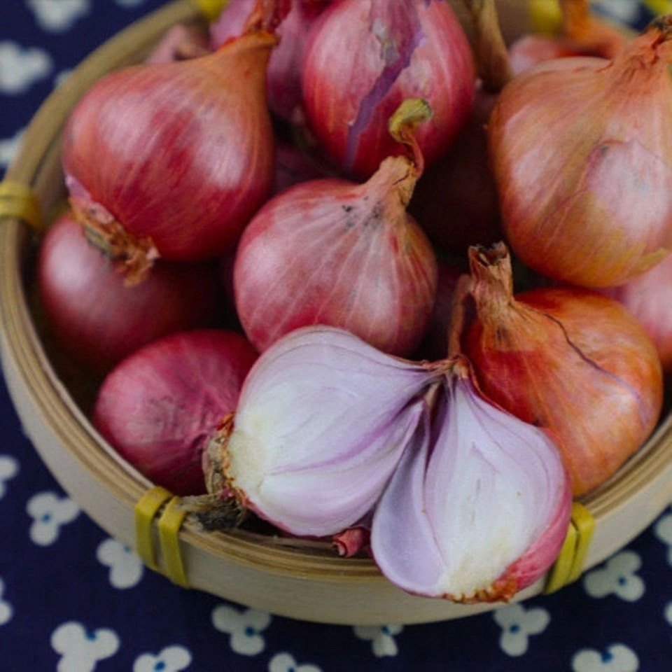 5斤正宗农家朱葱毛小洋葱红皮种子干葱圆新鲜现货葱类