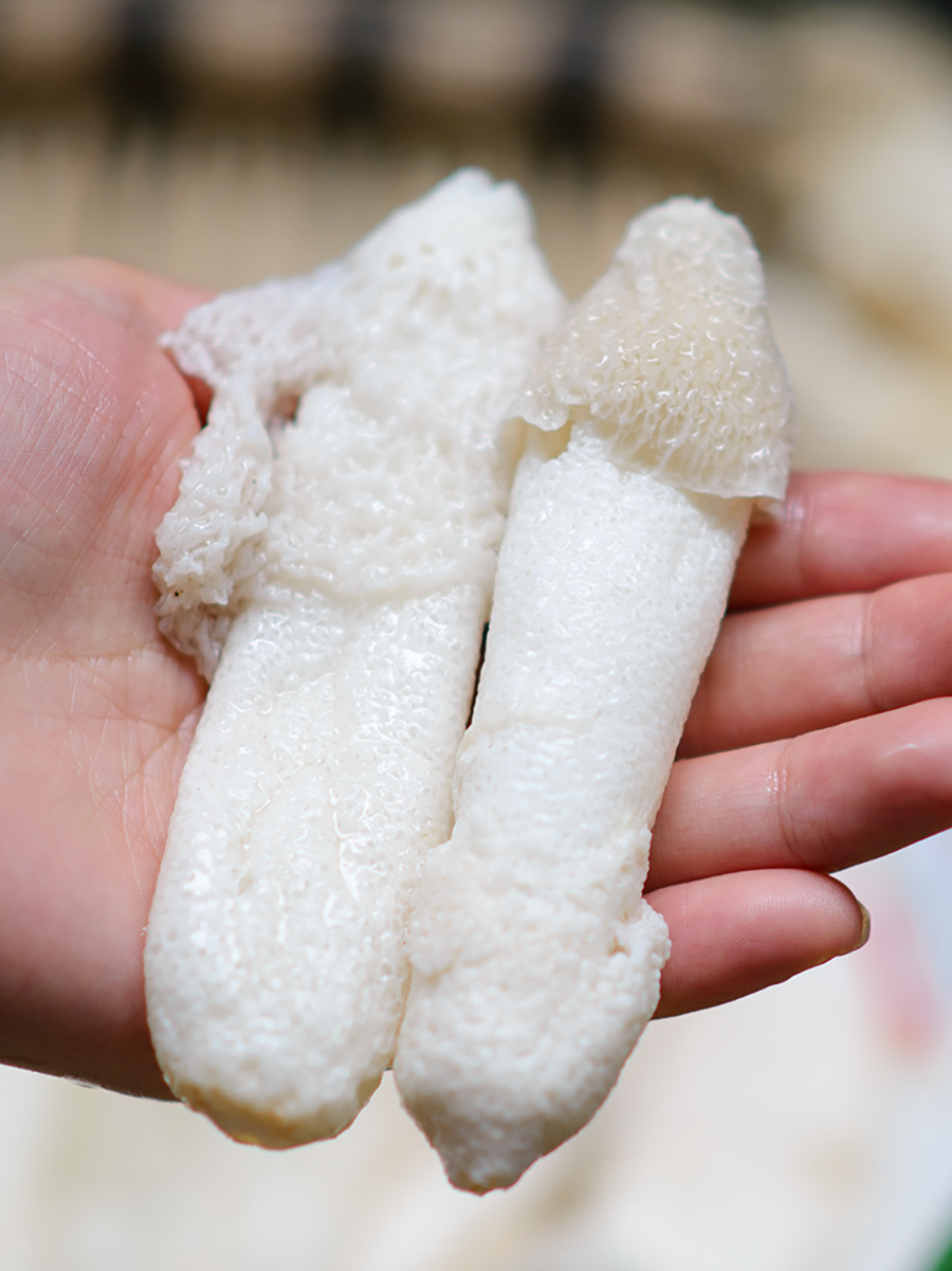 竹荪贵州特产织金短裙红托竹笙赤水黑头干货竹荪