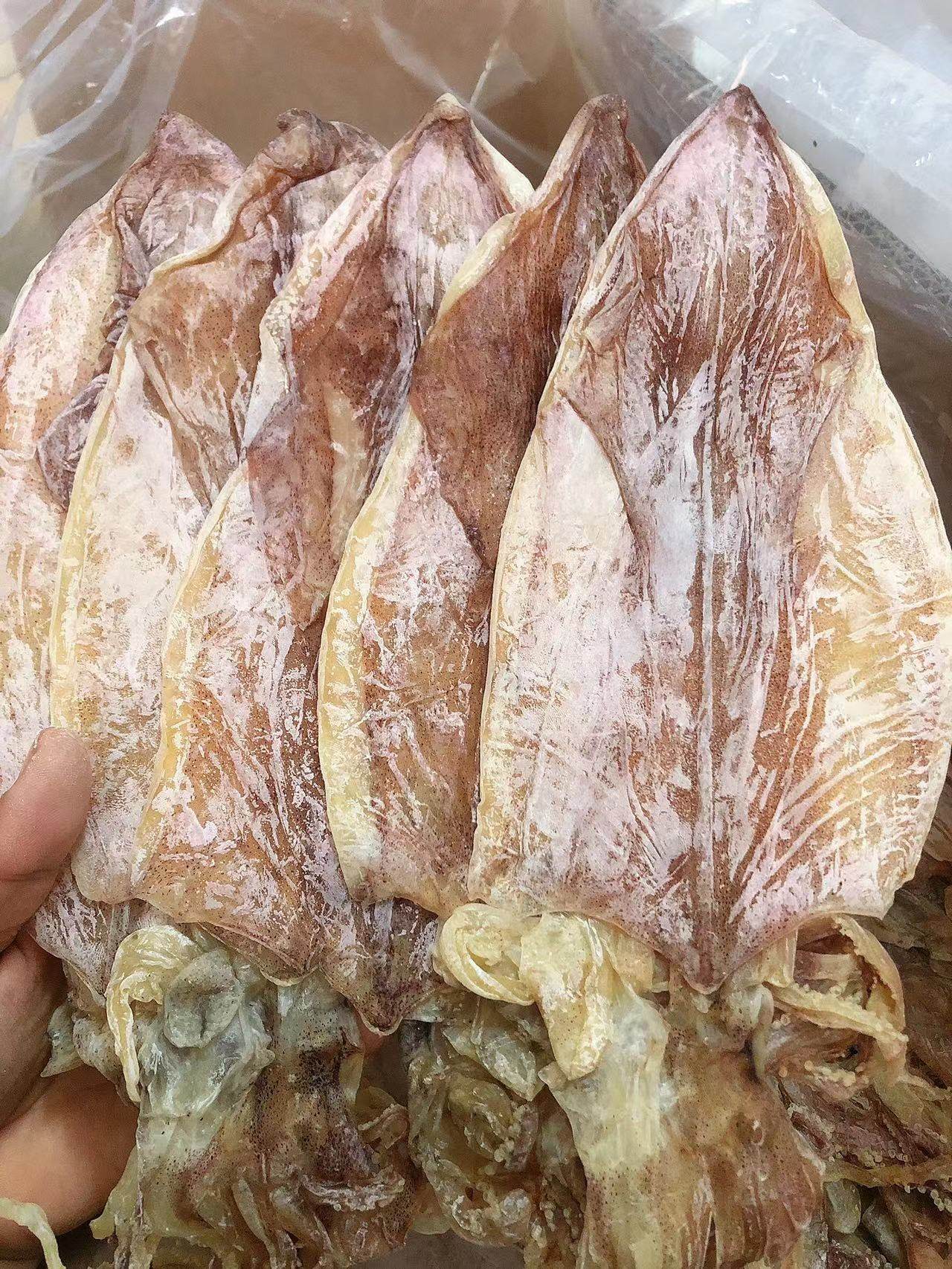 潮汕饶平特产鱿鱼8个500g渔民自晒鲜甜肉厚鱿鱼干