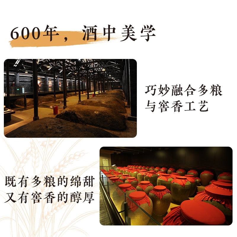 【真品保障】水井坊井台双瓶装52度浓香型500ml*2白酒礼盒纯粮食