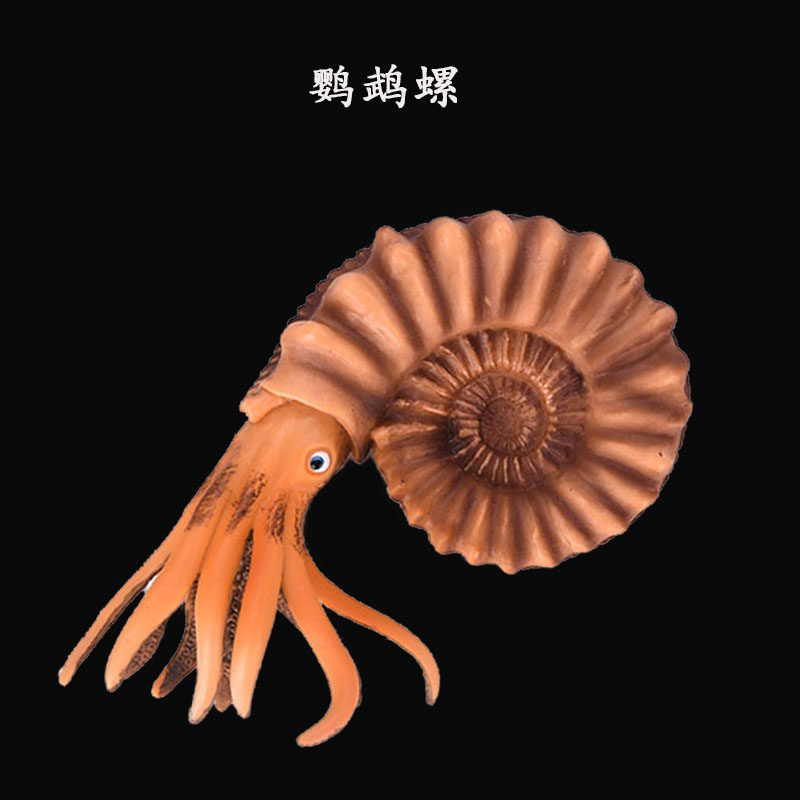 玩具奇迹系列鹦鹉螺远古野生动物仿真软体生物海螺仿真