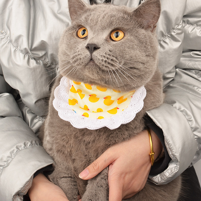 猫咪口水巾猫围脖宠物装饰围嘴饰品围巾三角巾可爱兜兜狗狗围兜