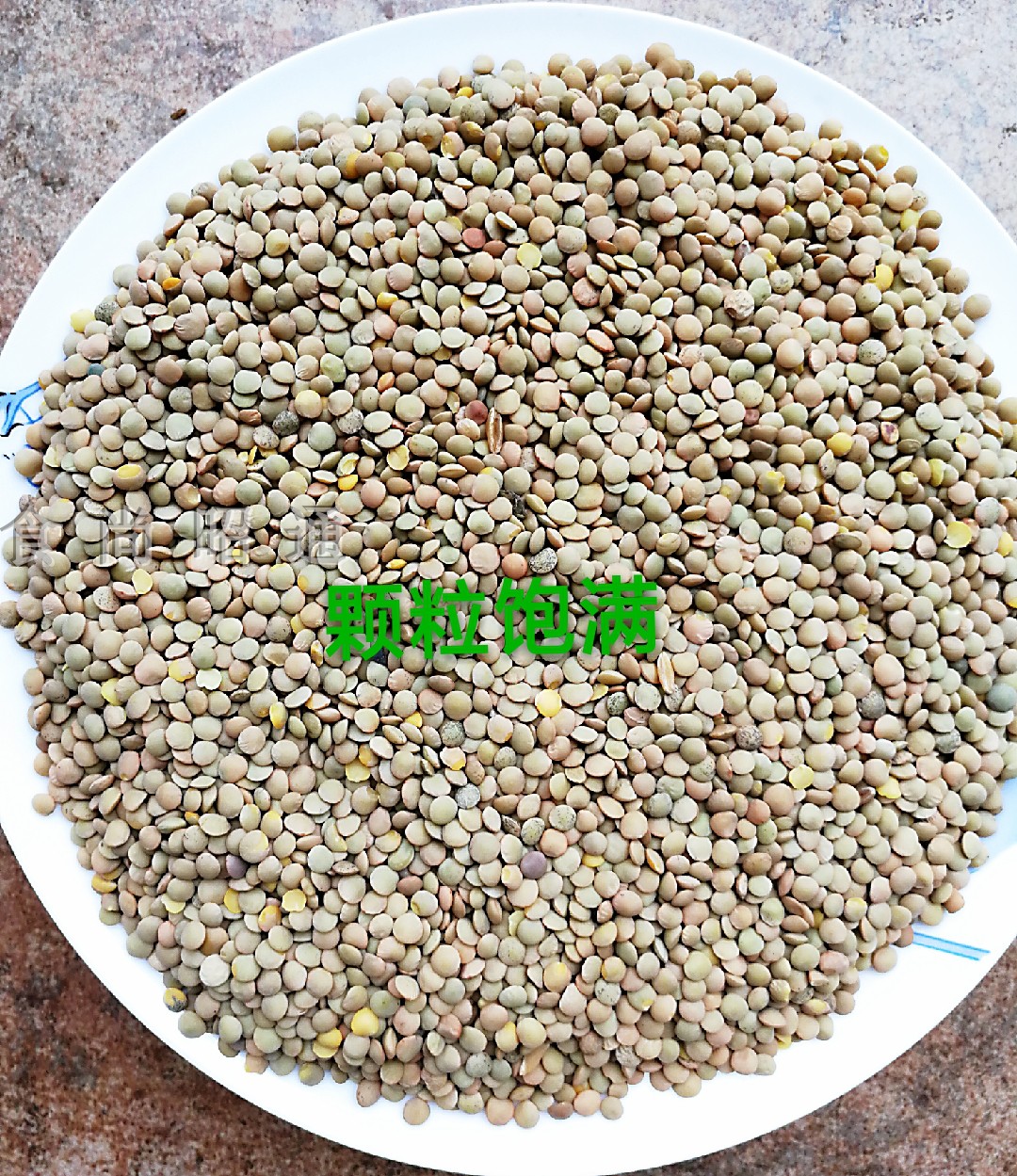 昭通金豌豆凉粉原料舌尖上的中国小豌豆鸡豆小扁豆农家自种5斤装