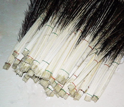 浮漂孔雀毛杆原料10根起拍钓鱼工具原材料diy其他diy饰品配件