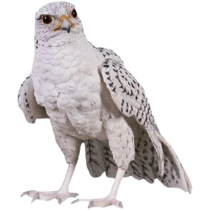 现货jxk 1/3 白玉爪海东青动物模型创意摆件国潮搭配bjd兵人偶-mc母婴