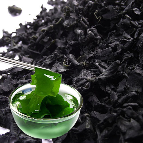螺旋藻裙带菜干货500g批发海菜海白菜海木耳特级干海带芽海藻菜