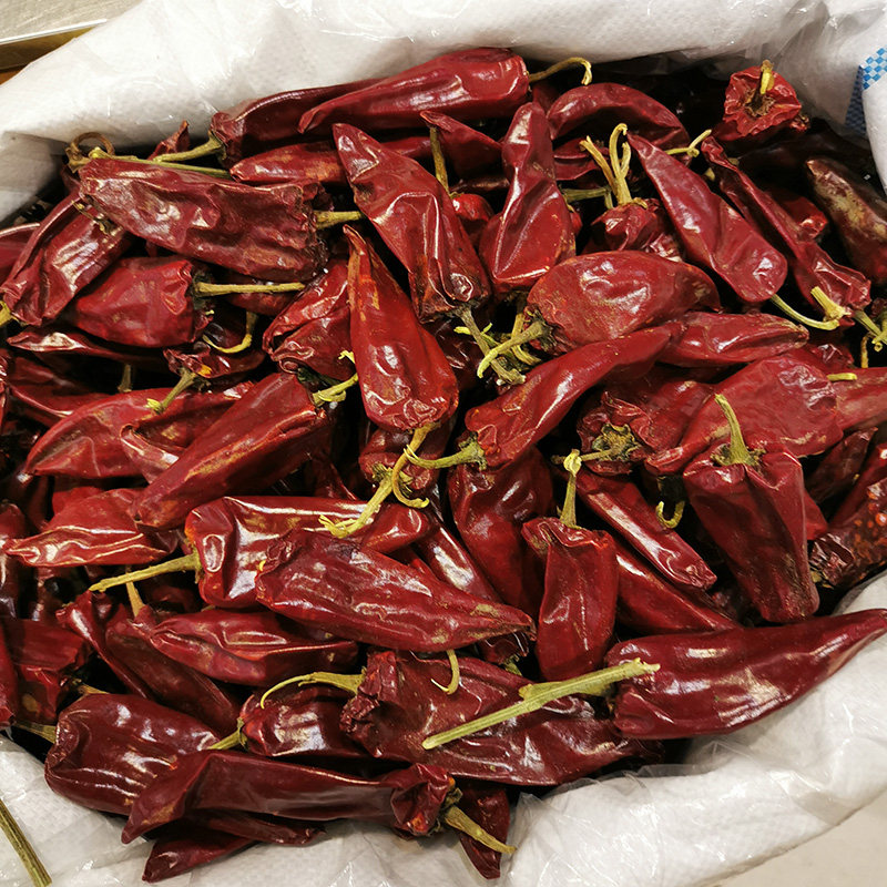 辣椒红干山东菏泽单县干红红大熬煮羊肉肉汤辣椒粉料