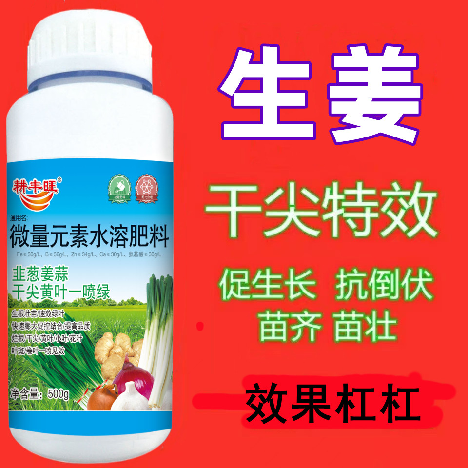 生姜姜黄肥料膨大增产干尖姜增产肥大叶面黄叶叶面肥