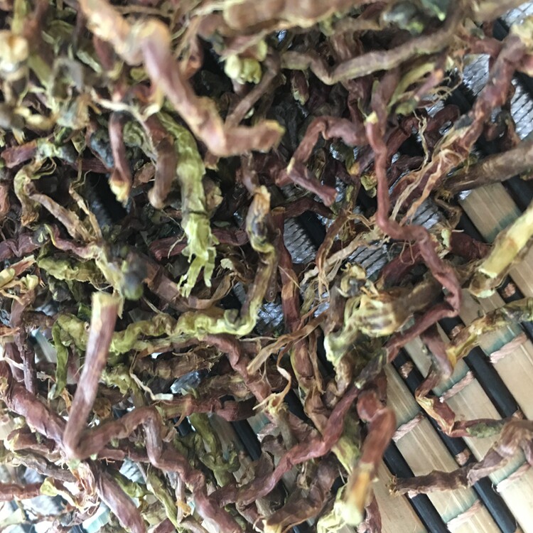 山蜜草云南山蜜草云南长寿草山蜜草山密草500g包邮