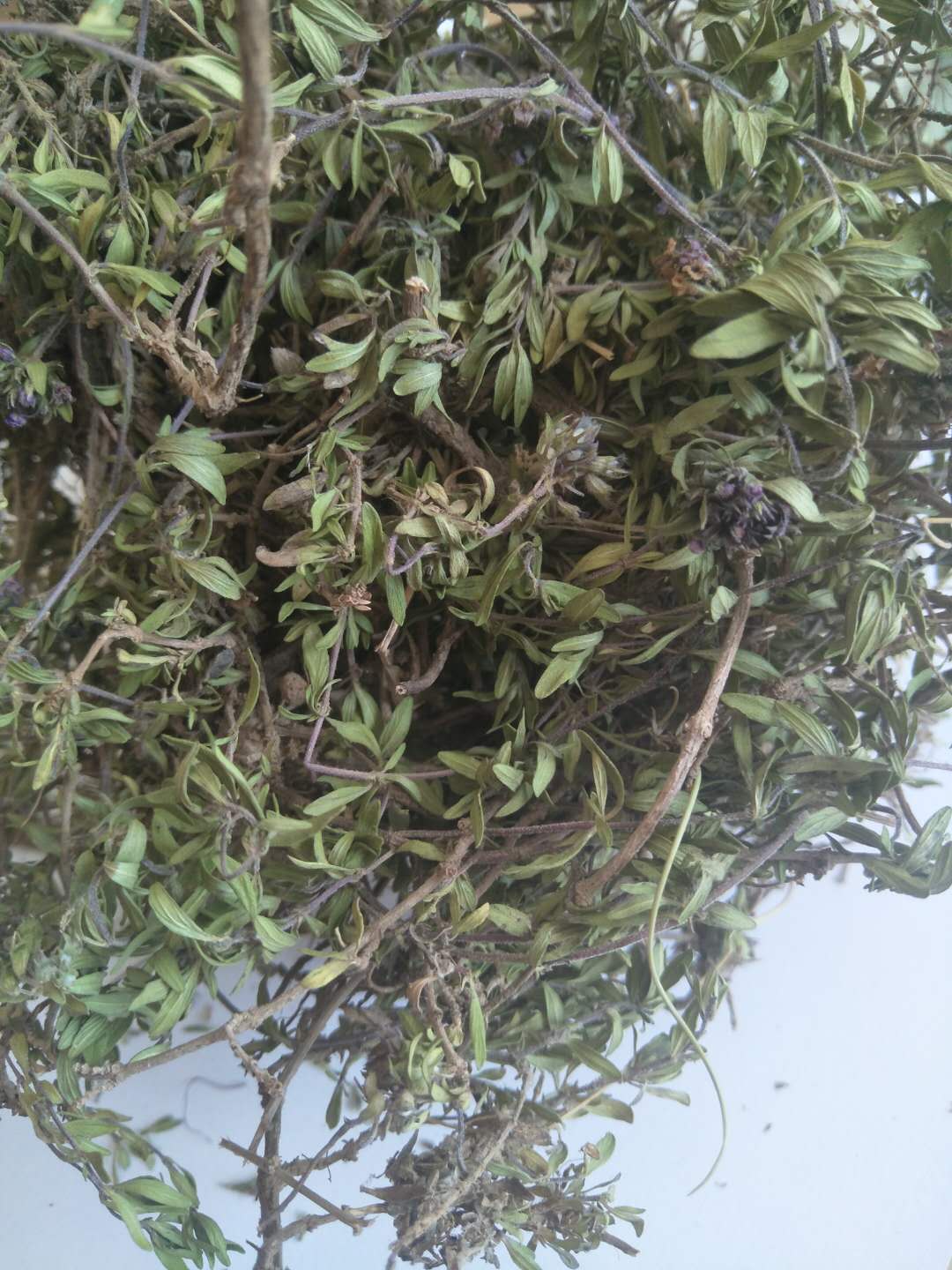 地椒陕北特产野生100g草地花椒包邮连茎地椒地香辛料