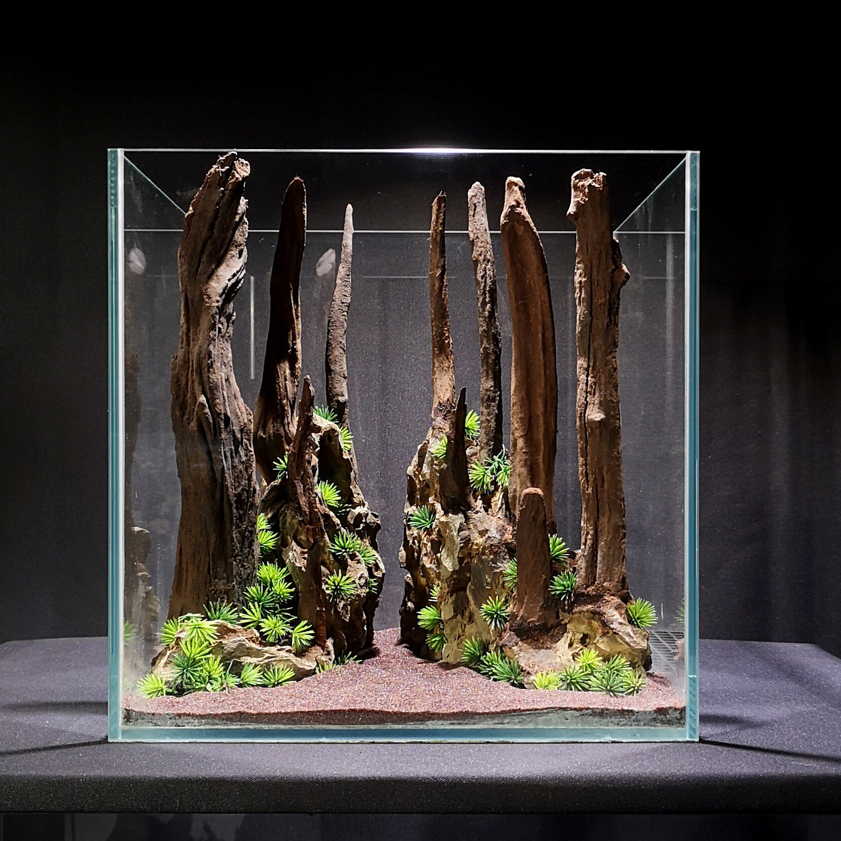 草缸骨架现货沉木拱桥杜鹃莫斯生命之树穿越鱼缸造景