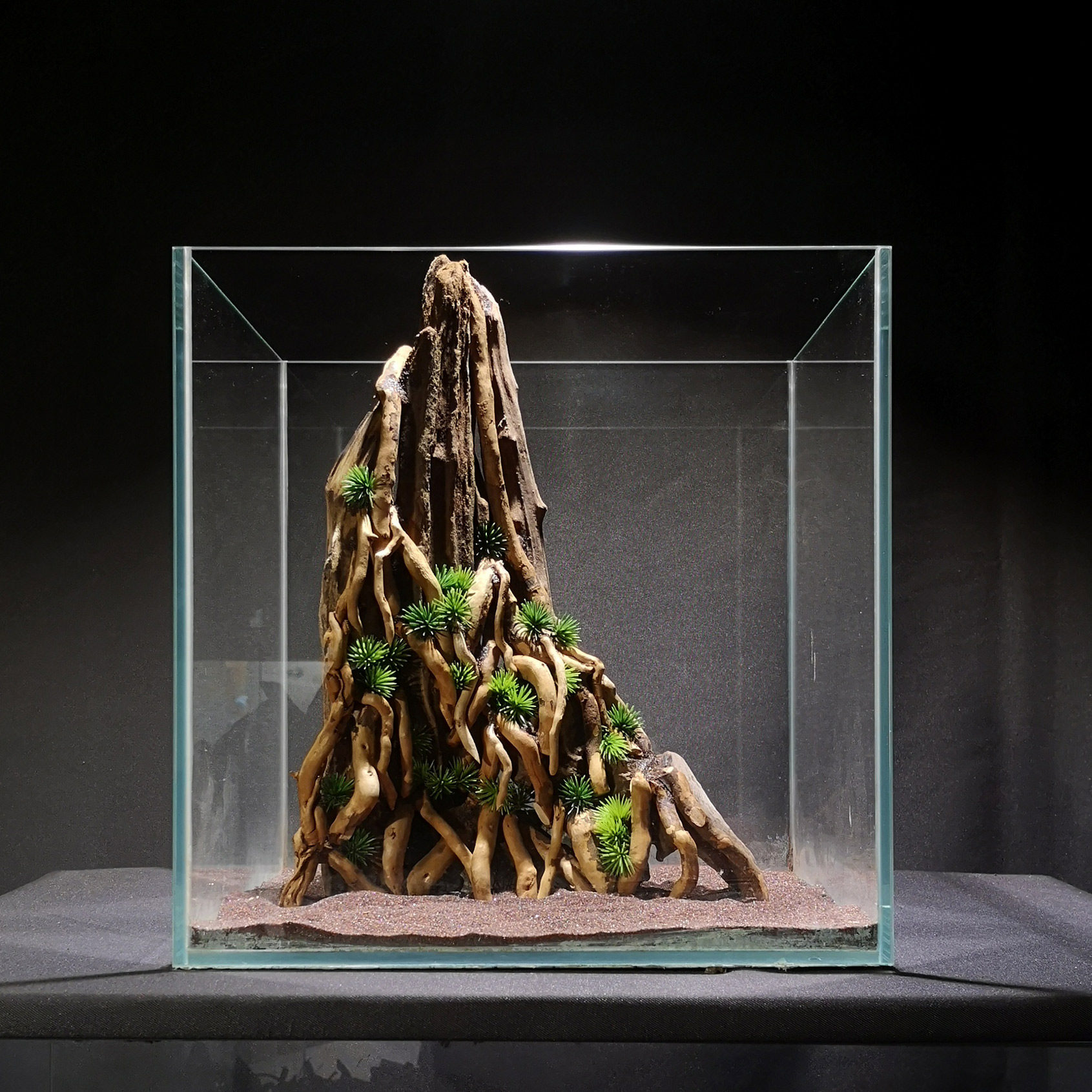 草缸骨架现货沉木拱桥杜鹃莫斯生命之树穿越鱼缸造景