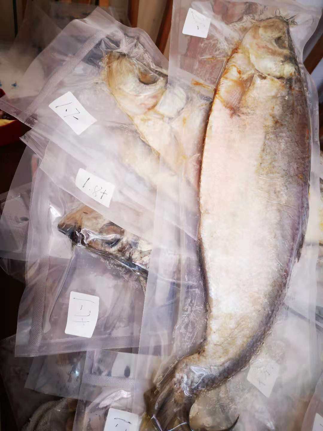山东汤腌野生咸白鳞鱼 腌制力勒鲞鳓鲙鱼货郎咸鱼干一条7-8两鲞鱼