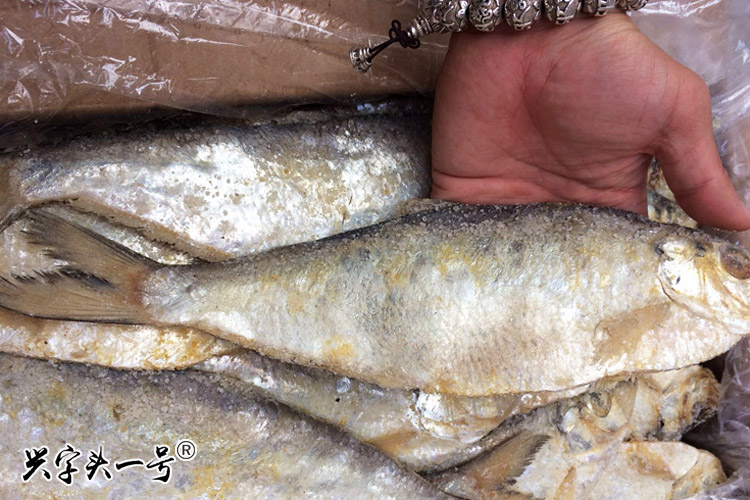 老山东特产野生腌制白鳞鱼南洋鱼力鱼勒鱼货郎鱼半干咸鱼鲞梅香鱼