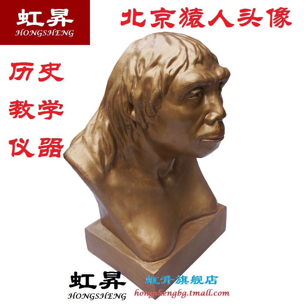 北京猿人猿人头头像周口女性人类进化复原中国教学仪器