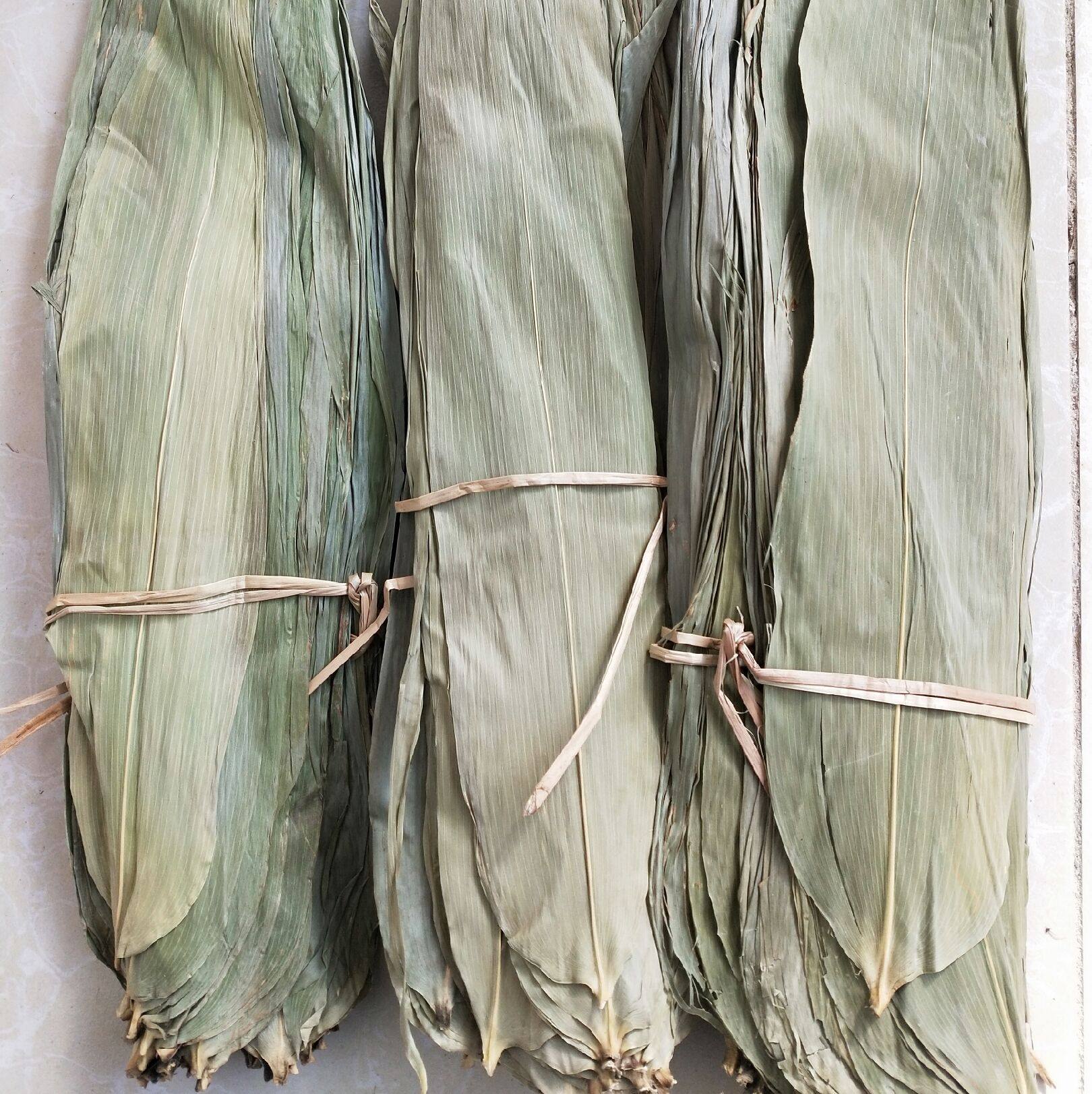 新鲜粽子粽叶棕叶大号叶子包粽子5斤子叶通货其它干货